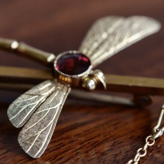 A Large Antique Victorian Gold 9ct And Garnet Dragonfly Brooch,  C.  1900.  7.  1cm.
