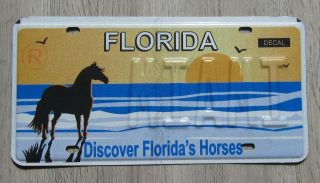 Florida License Plate Discover Florida 