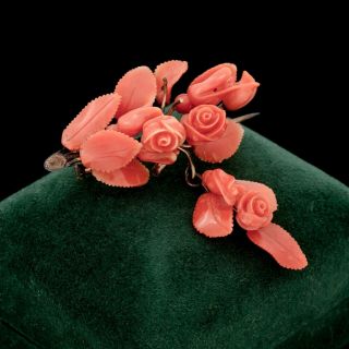 Antique Vintage Georgian 18k Gold Carved Salmon Coral Rose Wedding Pin Brooch