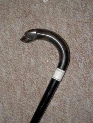 Antique Walking Stick/Cane W/ Bovine Horn Spaniel Head Crook Handle - 83.  5cm 3