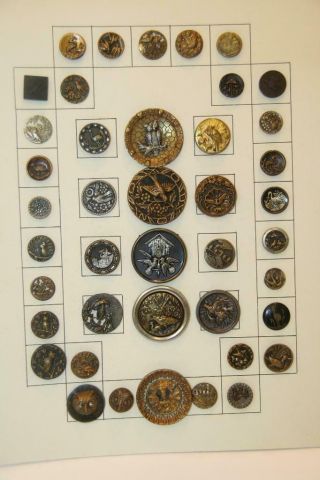 42 Mounted Antique Birds Owls 18th - 19th C Sewing Buttons Pictorial Cut Steels,