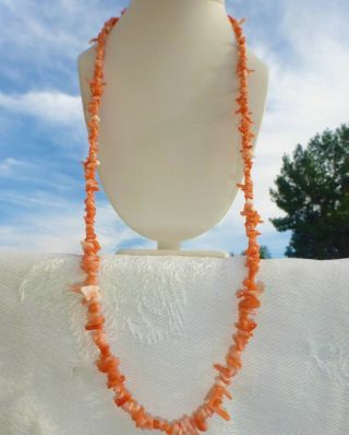 Gorgeous Vintage Long Beaded Natural Angel Skin Coral Necklace 34 " Inches