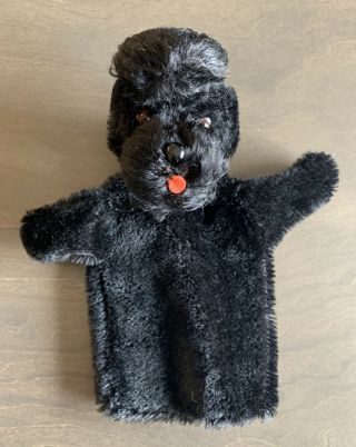 Vtg German Steiff Snobby Poodle Dog Mohair Black Puppet - No Ear Button