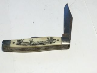 Vintage 3 Blade Folding Pocket Knife With A Deer Scene,  Colonial Prov.  U S