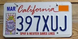 California Expired Spay & Neuter Saves Lives License Plate 397xu Embossed 1