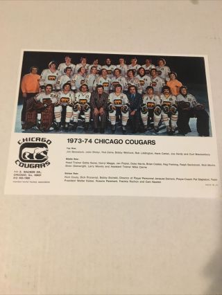 1973/74 Wha Chicago Cougars Vintage Hockey Team Photo