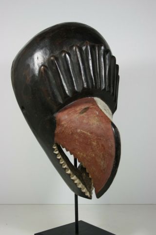 African Bird Beak Mask - Kran Liberia,  Tribal Art African Primitive Crafts