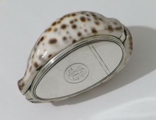 Antique Solid Silver Mounted Cowrie Shell Snuff Box C1800