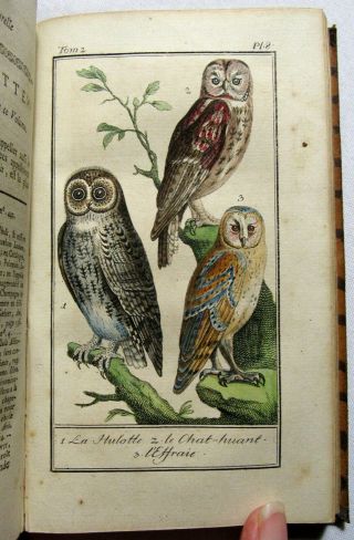 Antique 1785 Ornithology Hand Colored Plates Natural History Buffon Birds Owls