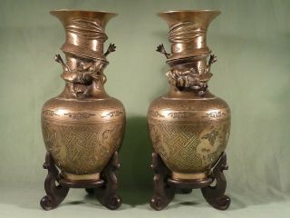 Antique Chinese Brass Bronze Vases With Dragons In Relief Wooden Bases