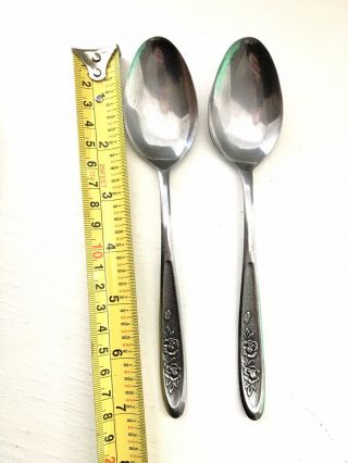 Vintage Ekco Eterna COUNTRY GARDEN STAINLESS Soup/Cereal Spoon,  Set Of 2, 3