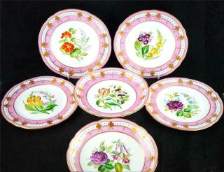 Bd Antique 19th Century English Porcelain Dessert Service Pink Border Flowers