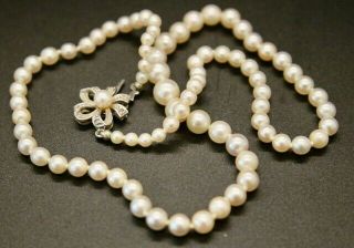 Antique 16 " Cultured Graduated Pearl Necklace With Diamond & Pearl Clasp