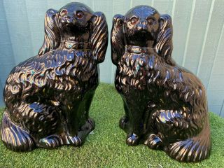 Pair: V.  Large 19thc Staffordshire Jackfield Black Spaniel Dogs C1890s