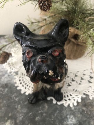 Vintage French Bulldog Carnival Chalkware Circus Midway Prize Frenchie Dog