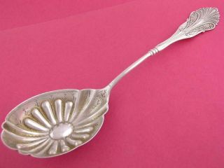 Sterling Shiebler 9 1/8 " Berry Serving Spoon Corinthian 1870 W/ Engraved Work