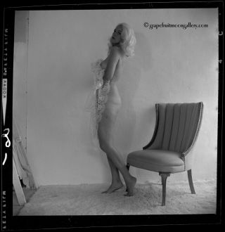 Bunny Yeager 1960s Camera Negative Sultry Self Portrait Cheesecake Lace Peekaboo 2