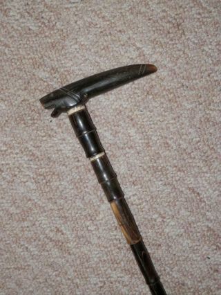 Antique Bovine Horn Walking Stick/cane W/ Bovine Horn Hand - Carved Handle - 88cm