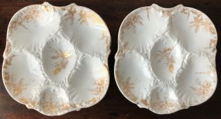 ANTIQUE M.  REDON LIMOGES FRENCH OYSTER PLATES - A PAIR 3