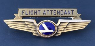 Eastern Airlines Stewardess Flight Attendant Wings Probationary Badge 10kgf Crew