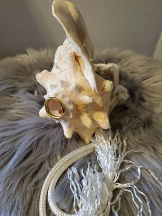 Large Conch Queen Shell Horn Trumpet With Strap 8 