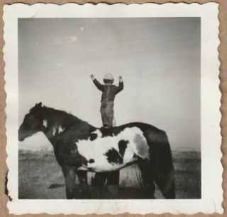 A260 - Myster Person Helps Kid Stand On Horse - Old Vintage Photo Snapshot