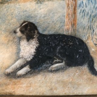 Antique Miniature Portrait Of A Dog Painted On Vellum Early 1800’s