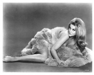 Ann - Margret Sexy Barefoot Exotic Glamour Pin Up Fur Rug Vintage 8x10 Photo