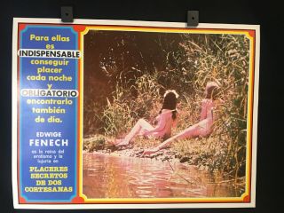 Vintage Italian Edwige Fenech Erotic Italy Mexican Lobby Card 16 " X12 "