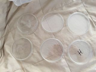 Vintage Laboratory Petri Dish Culture Set Of 6 Glass Top Bottom Pyrex 90 Mm
