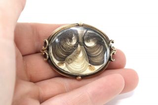 A Antique Victorian 15ct Yellow Gold Mourning Hair Piece Brooch 25797 3