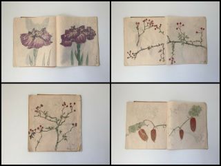 1962s Japanese Artist Sketch Book Vintage Hand Painted Flower Plant G078