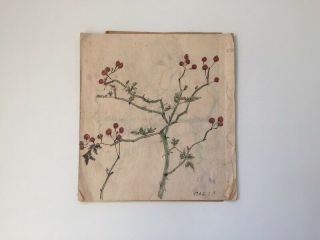 1962s Japanese Artist Sketch Book Vintage Hand Painted Flower Plant G078 2