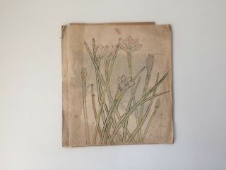 1962s Japanese Artist Sketch Book Vintage Hand Painted Flower Plant G078 3