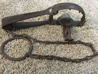 Old Antique Collectable Newhouse 2 1/2 Trap