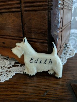 Vintage Celluloid Plastic Scottish Terrier Scottie Dog Brooch Pin Edith Monogram