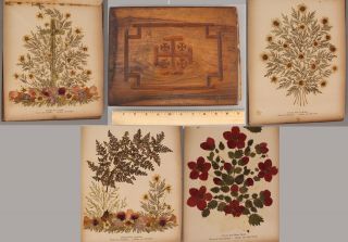 Antique German Pressed Natural Flowers Of The Holy Land Jerusalem Wood Book Nr