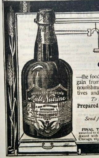1895 Anheuser Busch Malt Nutrine Bottle Art Breweriana Vintage Print Ad