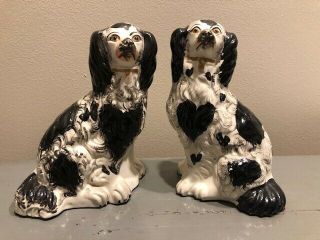 Antique Pair (2) Of Staffordshire Spaniel " Love " Dogs - Black & White 6 1/2 "