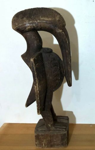 Old Senufo People 23 " Wood Statue Of Bird (hornbill) From Ivory Coast