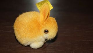 Vintage Steiff Mohair Baby Rabbit With Button & Tag Miniature So Cute