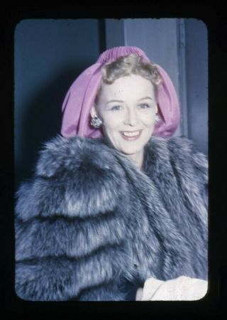 Gloria Stuart Glamorous In Fur Coat Vintage 35mm Transparency