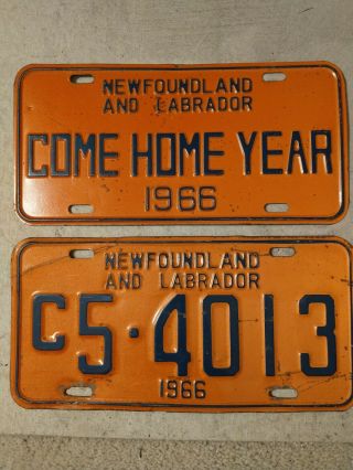 Newfoundland 1966 