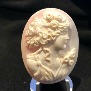 Antique Large Pink Conch Shell Hand Carved Cameo High Relief