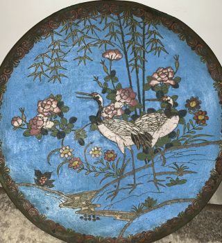 Antique Japanese Meiji Cloisonné Bronze Enamel Matching Flower,  Bird Plates 3