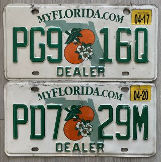 2015 Florida Dealer License Plate Orange Blossom Design