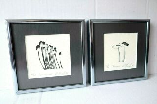 Robert Dow Reid Gallery Signed Limited Edition Prints Of Mushroom Sculptures
