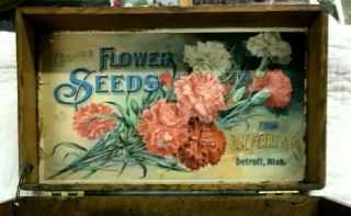 Antique Wood D M Ferry & Co Choice Flower Seeds Box - Detroit Mich - Intact - Yard