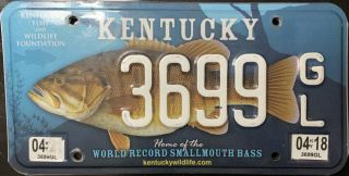 2015 Kentucky Smallmouth Bass Fish License Plate Rare