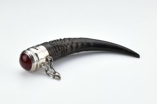 Long Scottish Silver And Horn Snuff Mull With Round Agate 19th Century